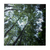 Jungle Small (4,25" x 4,25") Keramik Foto Tile Fliese (Vorderseite)