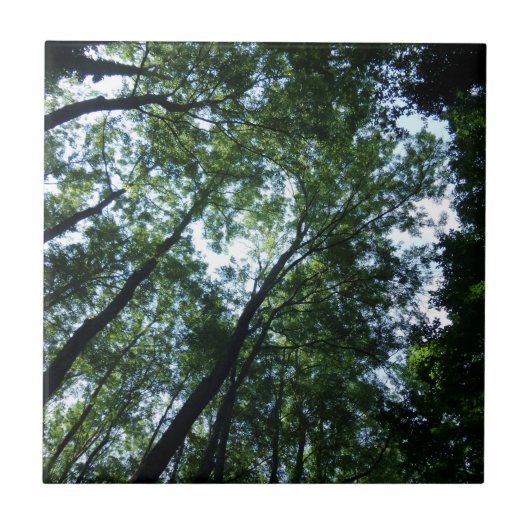 Jungle Small (4,25" x 4,25") Keramik Foto Tile Fliese (Vorderseite)