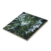 Jungle Small (4,25" x 4,25") Keramik Foto Tile Fliese (Seite)