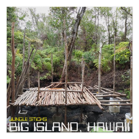 JUNGLE STICKS BIG ISLAND HAWAII POSTER (Vorderseite)