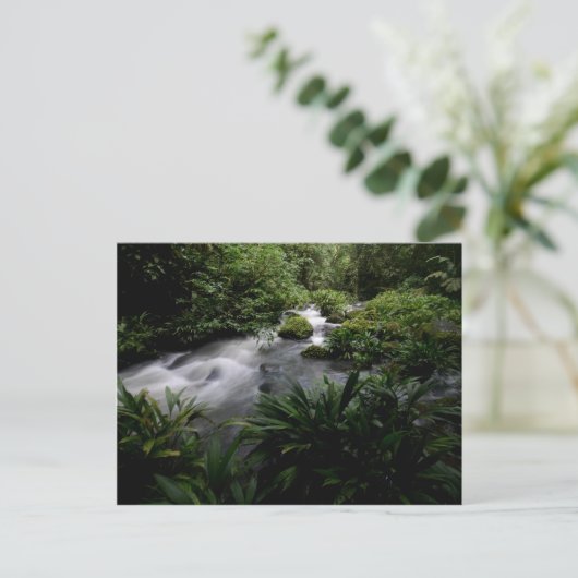 Jungle Stream River Landscape Amazon Postkarte (Stehend Vorderseite)