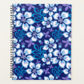 JUNGLE SURF (BLAUER COMBO) PLANER (Vorderseite)