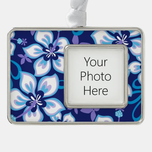 JUNGLE SURF (BLAUER COMBO) Rahmen-Ornament SILBER (Vorderseite)