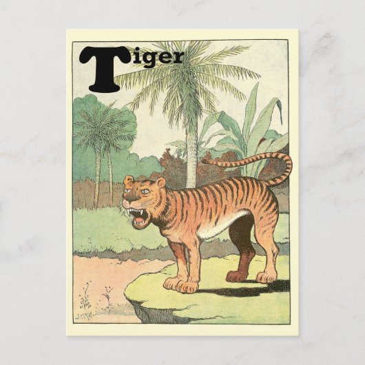 Jungle Tiger Animal Alphabet Postkarte (Vorderseite)