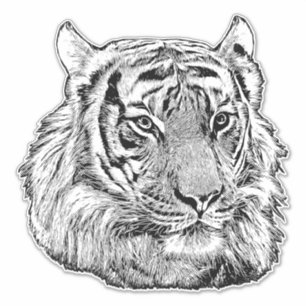 Jungle Tiger Face Safari Tierart Originalität Aufkleber