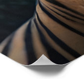 Jungle Tiger Poster (Ecke)