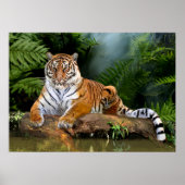 JUNGLE TIGER POSTER (Vorne)