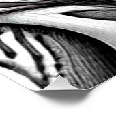 Jungle Toucan Poster (Ecke)