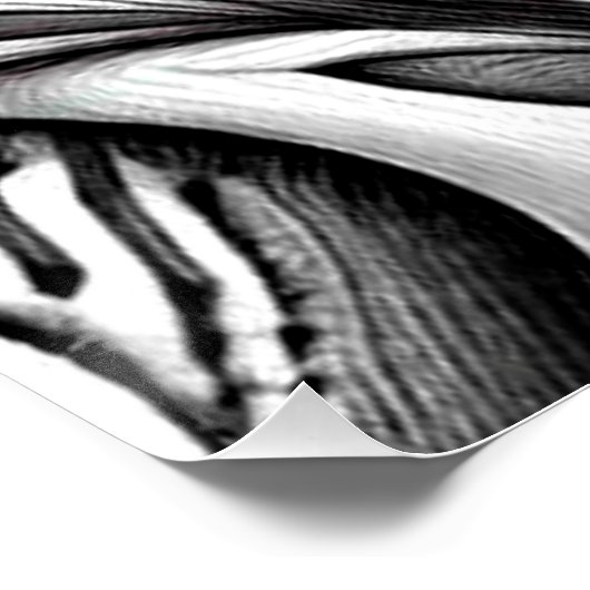 Jungle Toucan Poster (Ecke)