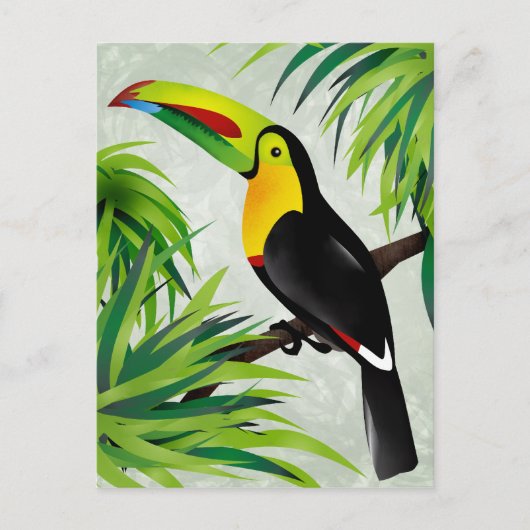 Jungle Toucan Postkarte (Vorderseite)