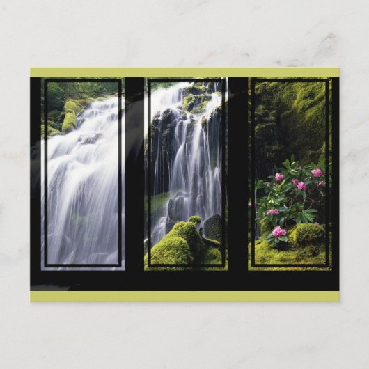 Jungle Waterfall Triptychon Postkarte (Vorderseite)