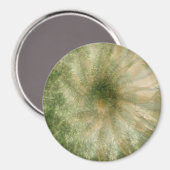 Jungle Wheel.... Magnet (Vorderseite/Rückseite)