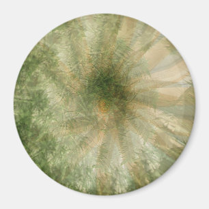 Jungle Wheel.... Magnet