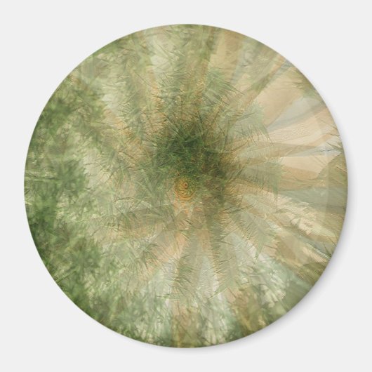 Jungle Wheel.... Magnet (Vorne)