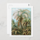 Jungle Wild Forest Vintage Travel Postcard Postkarte (Vorne/Hinten)