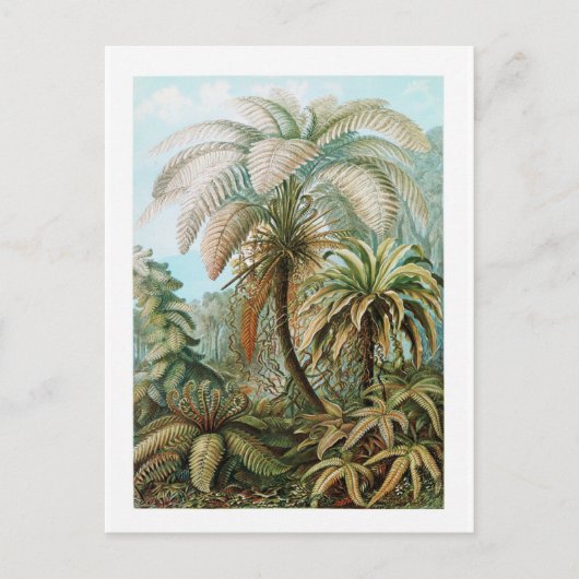 Jungle Wild Forest Vintage Travel Postcard Postkarte (Vorderseite)