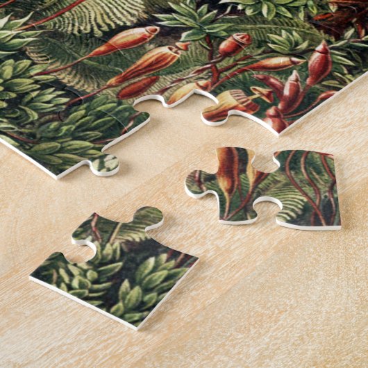 Jungle Wilderness Jungle Vintag Puzzle (Seite)