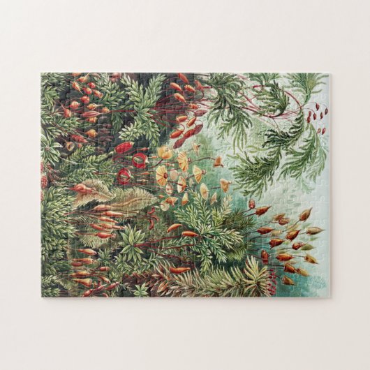 Jungle Wilderness Jungle Vintag Puzzle (Horizontal)