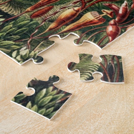 Jungle Wilderness Puzzle (Seite)