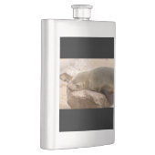 Jungmeer Flachmann (Rechts)