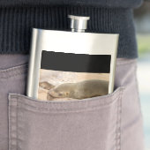 Jungmeer Flachmann (Beispiel)