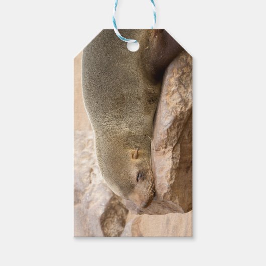 Jungmeer Geschenkanhänger (Vorderseite)