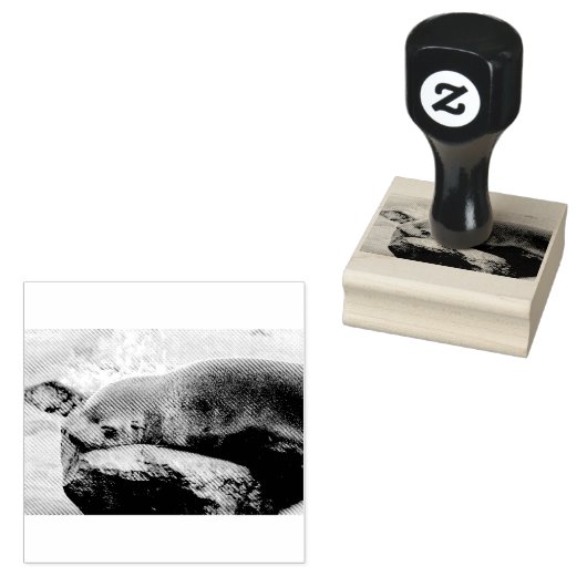 Jungmeer Gummistempel (Stempel)