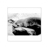 Jungmeer Gummistempel (Prägung)