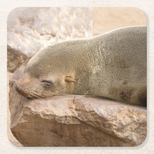 Jungmeer Rechteckiger Pappuntersetzer (Vorderseite)