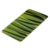 Jungreichtum Magnet (Linke Seite)