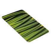 Jungreichtum Magnet (Rechte Seite)