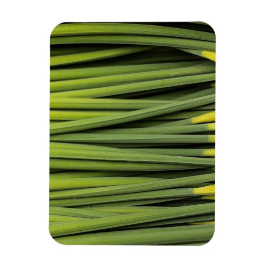 Jungreichtum Magnet (Vertikal)