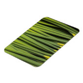 Jungreichtum Magnet (Linke Seite)