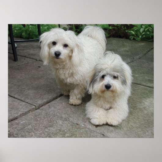 Jungtiere aus Öl Poster (Vorne)