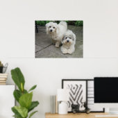 Jungtiere aus Öl Poster (Heimbüro)