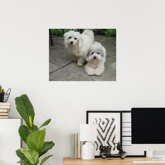 Jungtiere aus Öl Poster (Heimbüro)