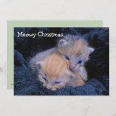 Jungtiere Dankeskarte (Vorne/Hinten)