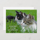 Jungtiere im Gras Feiertagspostkarte (Vorne/Hinten)