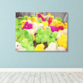 Jungtiere in einem Pen auf einem von Dye gefärbten Leinwanddruck (Insitu (Holzboden))