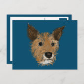 Jungtiere Postkarte (Vorne/Hinten)