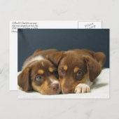 Jungtiere Postkarte (Vorne/Hinten)