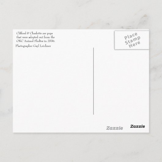 Jungtiere Postkarte (Rückseite)