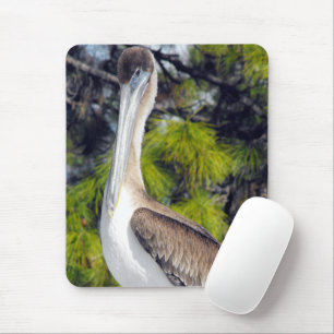 Jungvogel Brauner Pelikan Mousepad