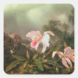 Jungvögel und Kolibris, 1872 Quadratischer Aufkleber