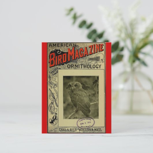 Juni 1903 postkarte (Stehend Vorderseite)