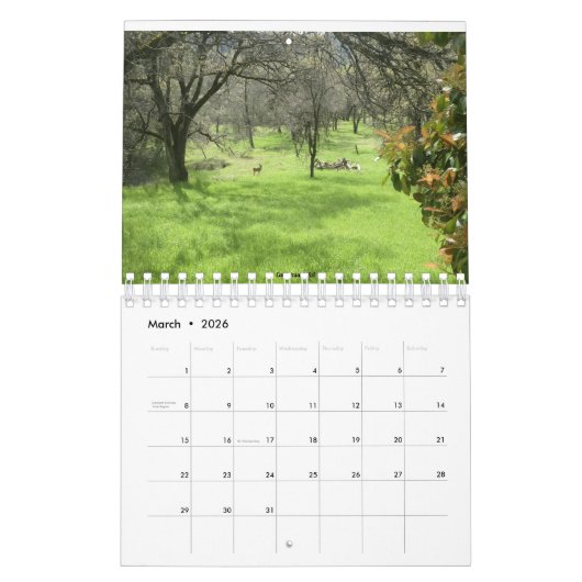 Juni 2002-Juni 2021 Kalender (Mär 2026)