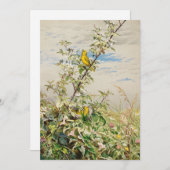 Juni | Fidelia Bridges (Vorne/Hinten)