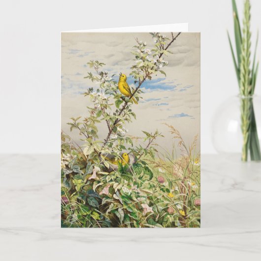 Juni | Fidelia Bridges Karte (Vorderseite)