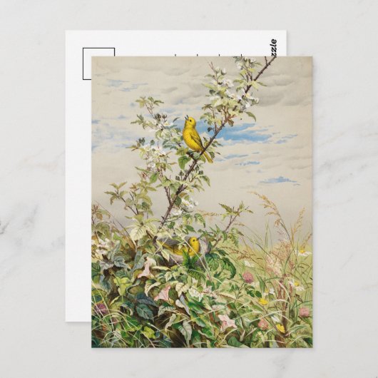 Juni | Fidelia Bridges Postkarte (Vorne/Hinten)