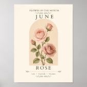 Juni-Geburtsblumen-Rosenposter Poster (Vorne)